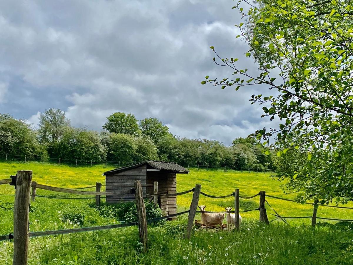 Отель Moulin Le Fleurie Charenton-du-Cher Экстерьер фото